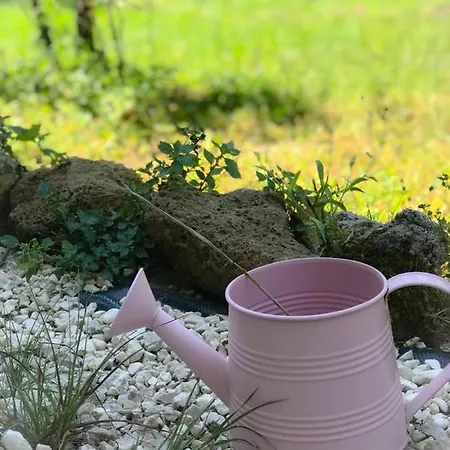 Alloggio Turistico Colosseo Δωμάτια σε οικογενειακή κατοικία *