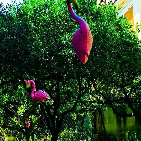 Δωμάτια σε οικογενειακή κατοικία Alloggio Turistico Colosseo